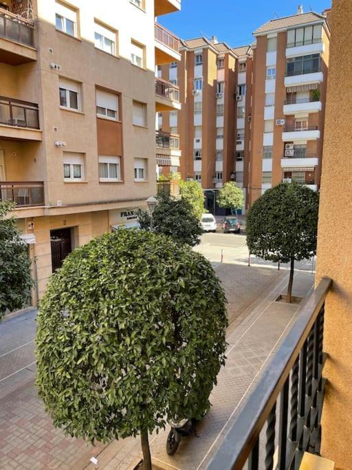 Apartamento Zoco Cordoba Córdoba Exterior foto
