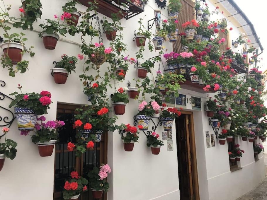 Apartamento Zoco Cordoba Córdoba Exterior foto